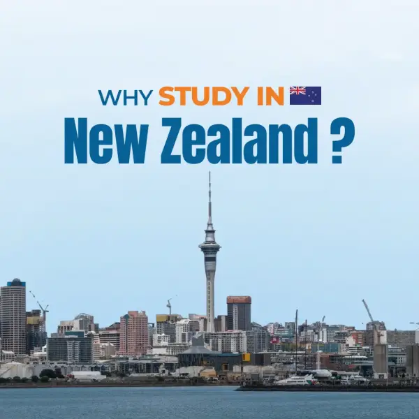 Top Reasons to Study in New Zealand from Nepal