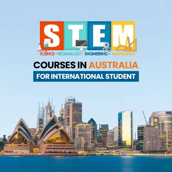 Studying In New Zealand